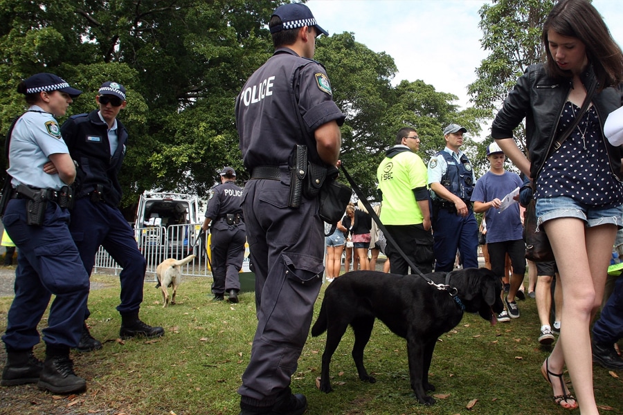 Police and sniffer dogs