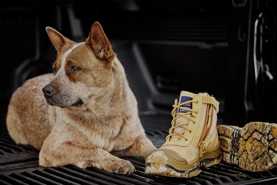 Best Australian Boots Brands to Give You Leg Up Man of Many