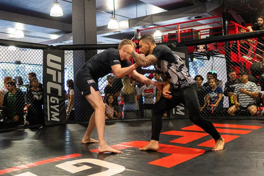 11 Best MMA Gyms in Sydney | Man of Many