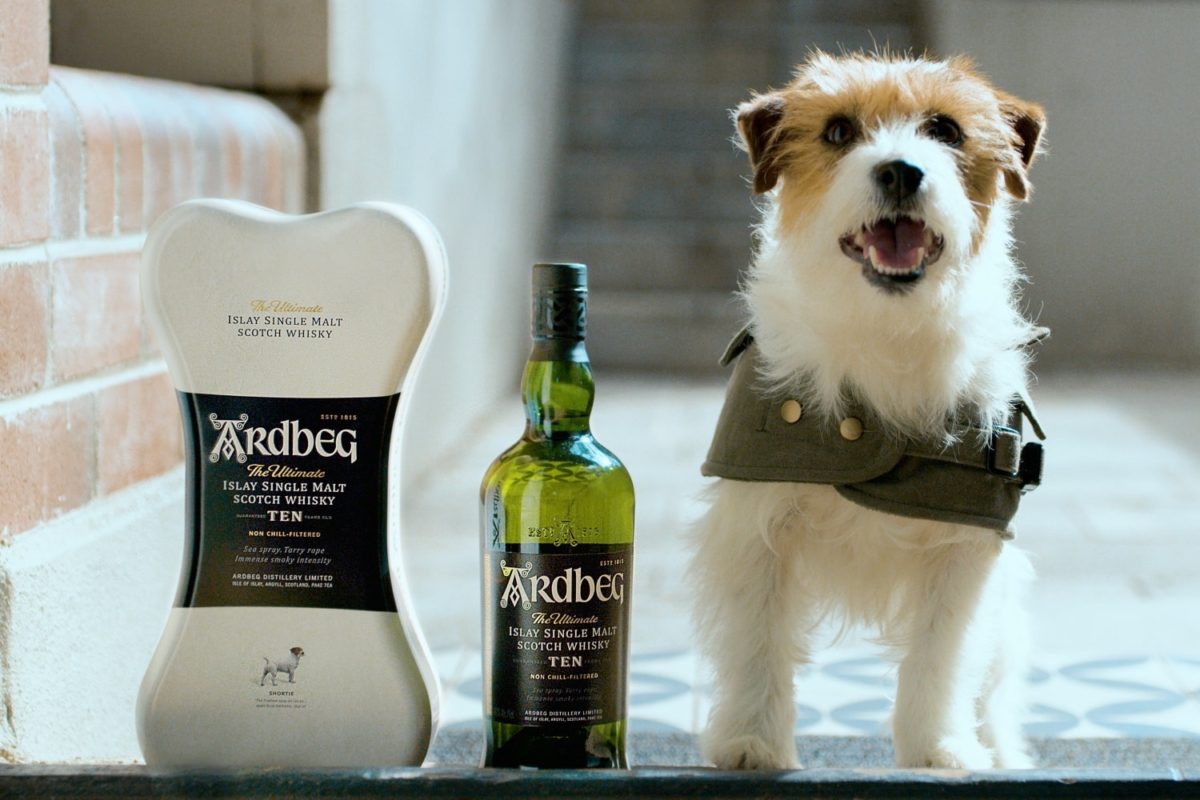A delivery dog standing next to Ardbeg Whisky and bone-shaped box