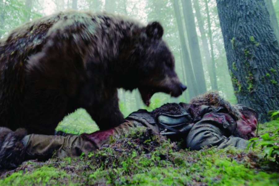 flipboard-man-who-tried-to-fight-grizzly-bear-in-banff-national-park