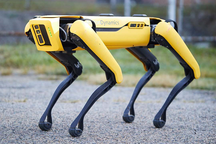 robot dog price