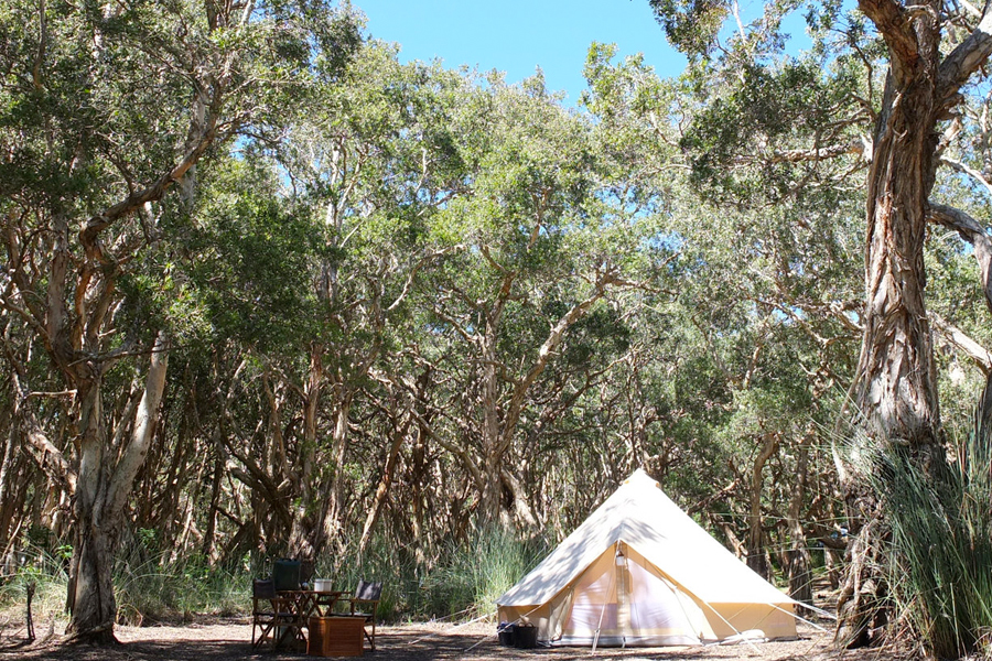 Free And Low Cost Camping Shoalhaven Tourism