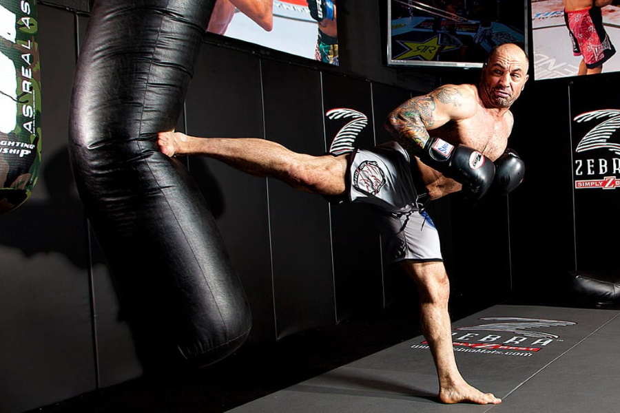 Joe rogan leg workout new arrivals