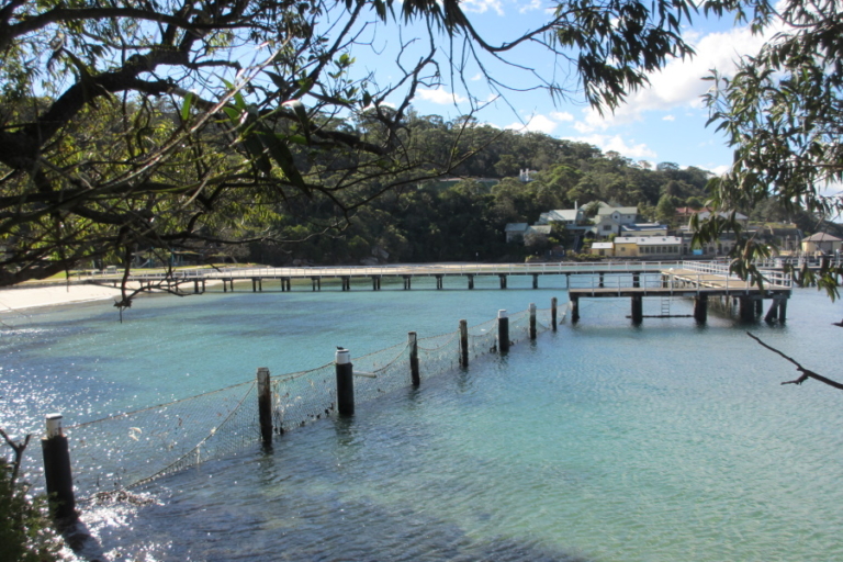12 Best Fishing Spots in Sydney | Man of Many