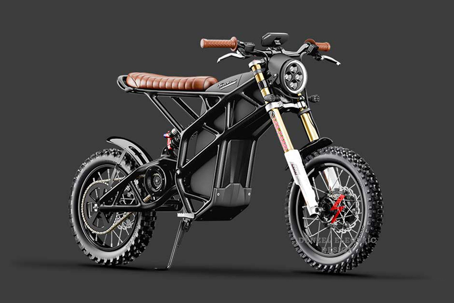 denzel electric bike