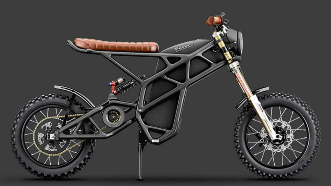 denzel electric motorcycle for sale