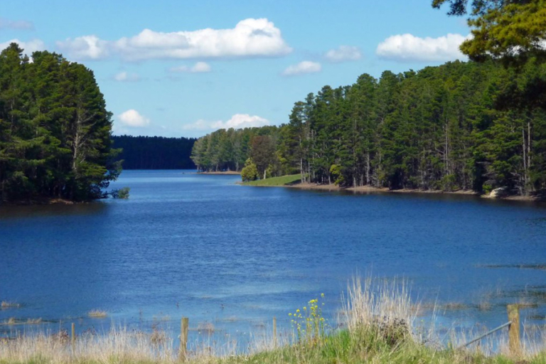 10 Best fishing spots in Melbourne Man of Many