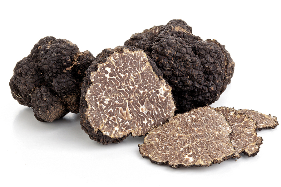 Everything You Need To Know About Truffles Man Of Many 2369