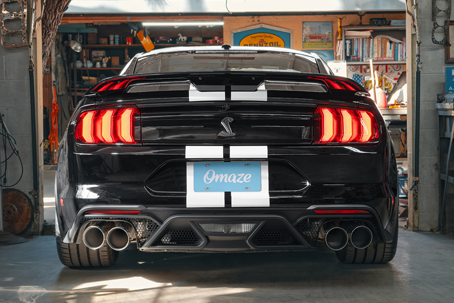 Ford Mustang Shelby GT500 back