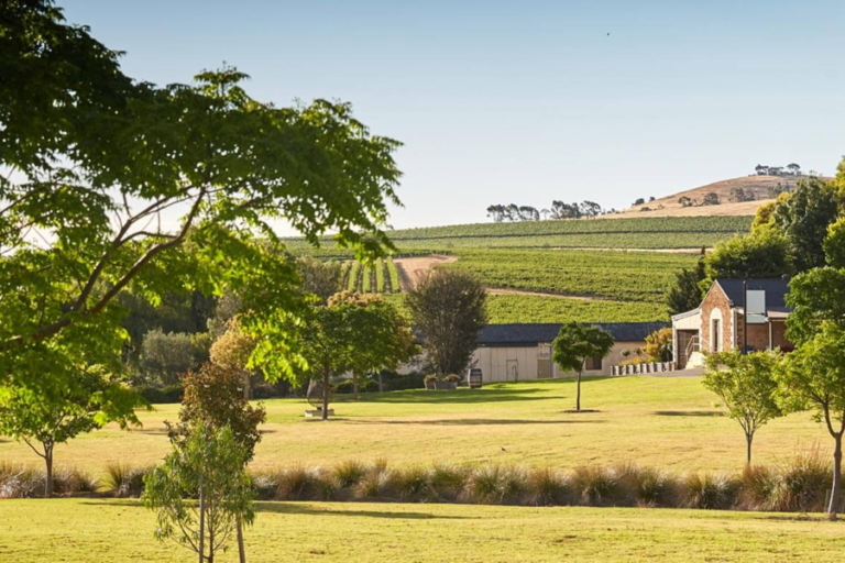 10 Best Wineries in Clare Valley Man of Many