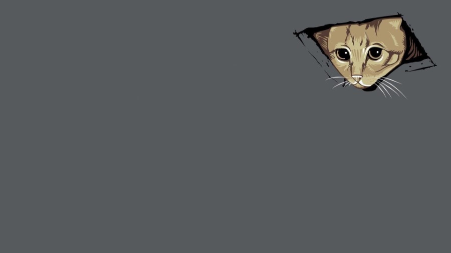 Funny zoom backgrounds gifs - bpoeverything