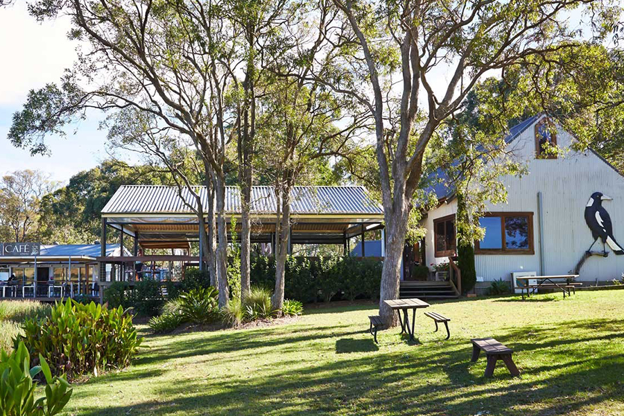 12 Best Wineries in the Hunter Valley - Gartelmann Wines