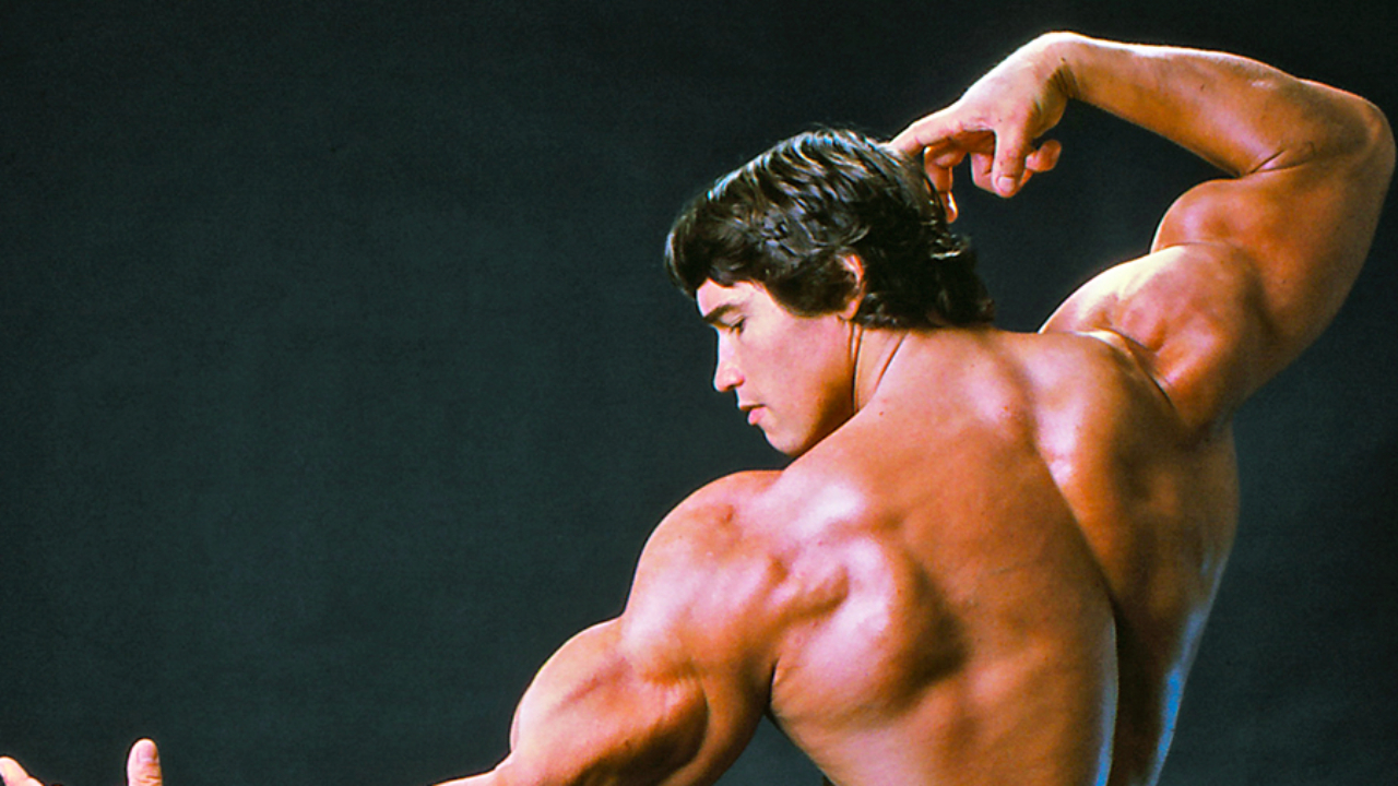 Joe Rogan Workout Routine Reddit Blog Dandk