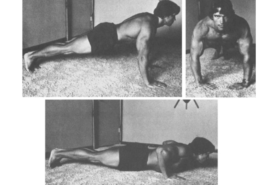 Arnold schwarzenegger best sale push pull workout