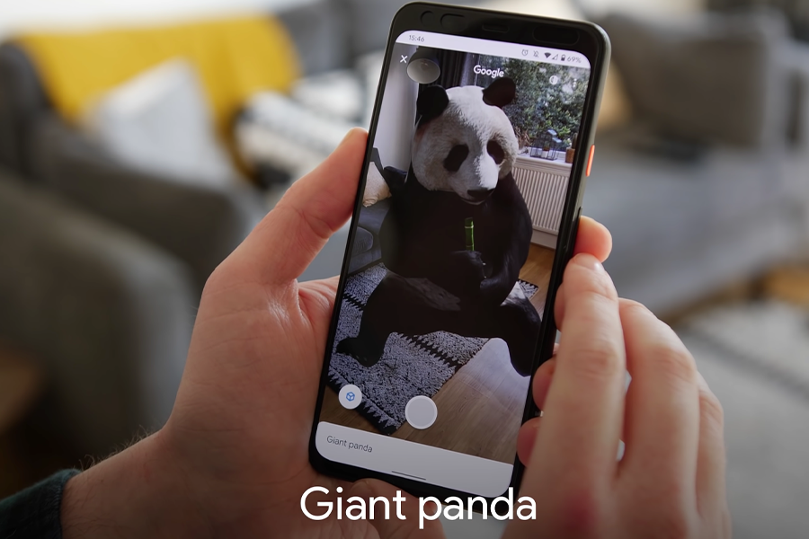 How Do I View 3D Live Animals On Google Using Camera?