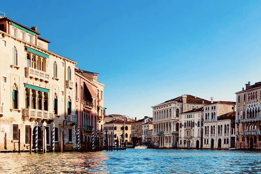 Venice dolphins 1