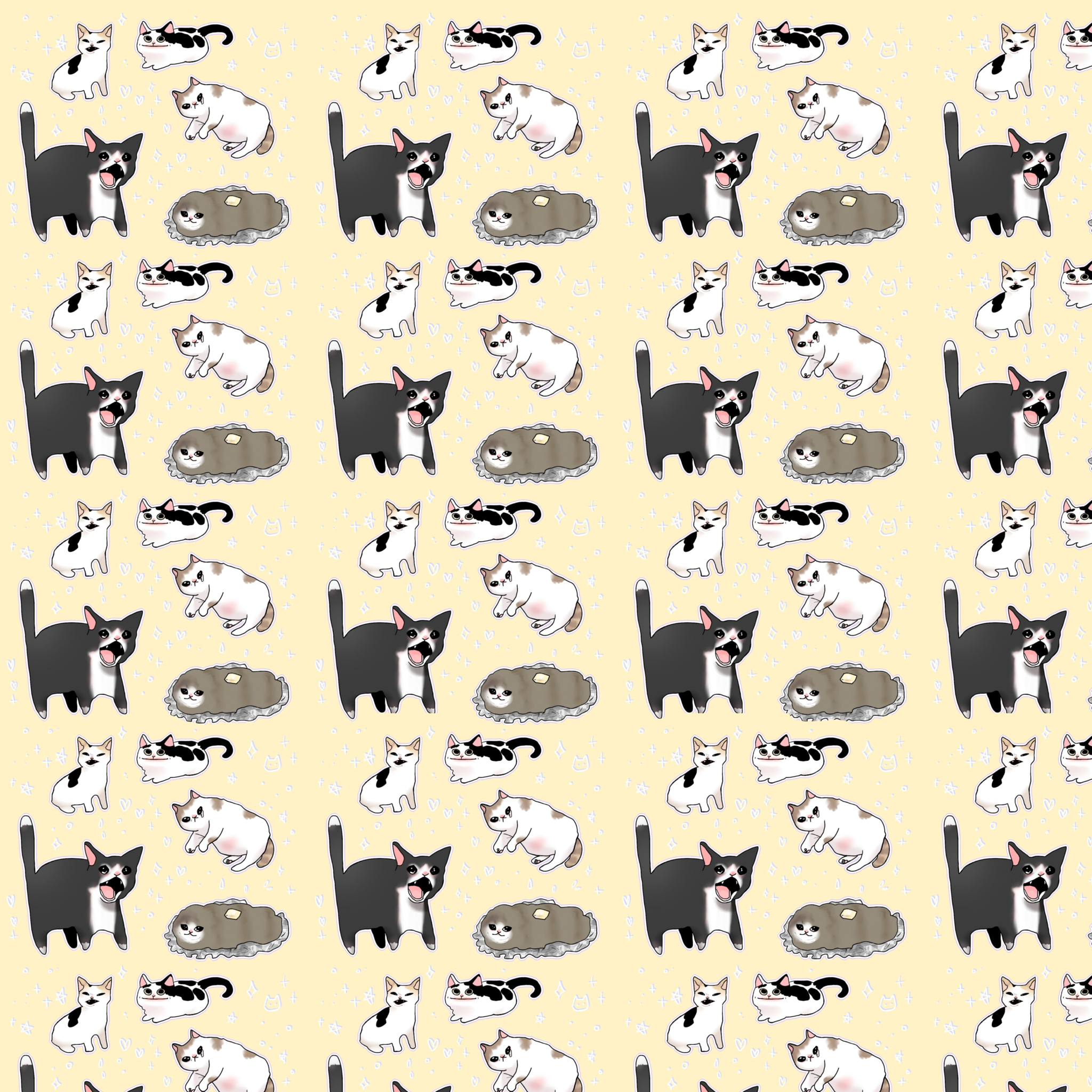 funny zoom backgrounds cats