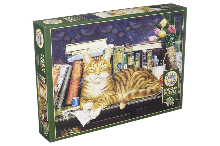 15 Best Puzzles for Adults to Test Your Skills Man of Many