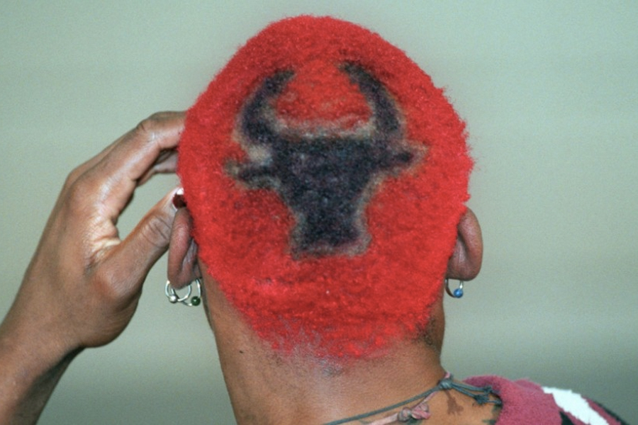 Dennis Rodman Hair - Bulls Logo