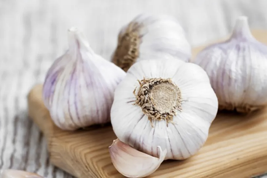 immune boosting foods - Garlic