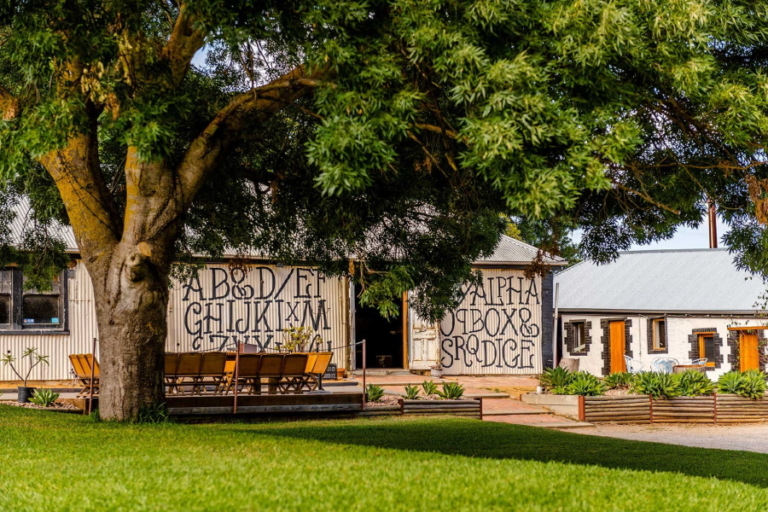 11 Best Wineries in McLaren Vale Man of Many