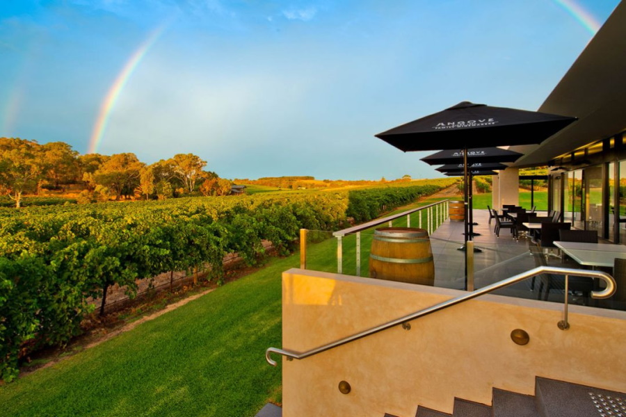 best mclaren vale winery tours