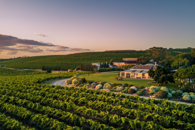 11 Best Wineries In McLaren Vale Man Of Many   10 Best Wineries In McLaren Vale Coriole Vineyards 768x512 