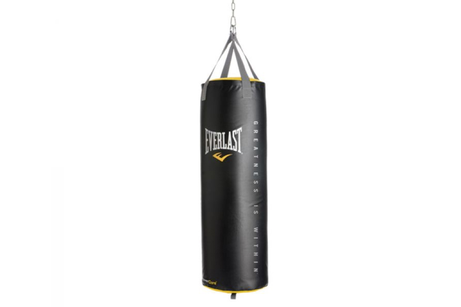 Everlast 100LB Heavy Punching Bag