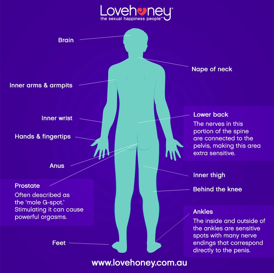 Lovehoney Erogene Zonen - Rückseite Rücken