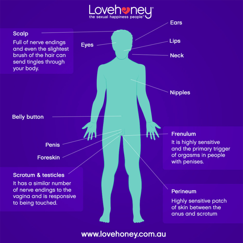 male-erogenous-zones-chart