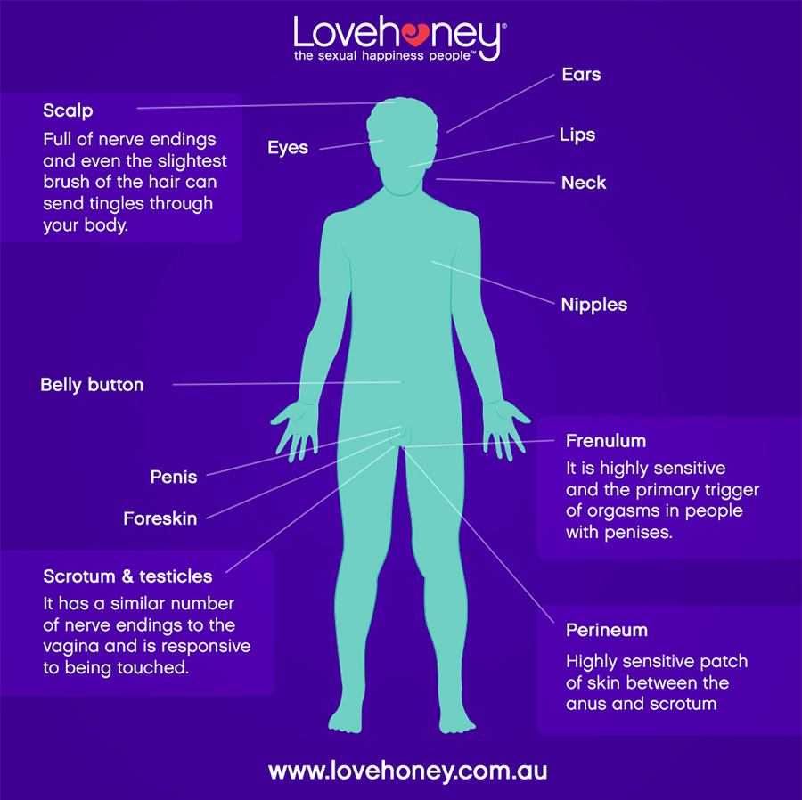 Erotic zones to massage on human body