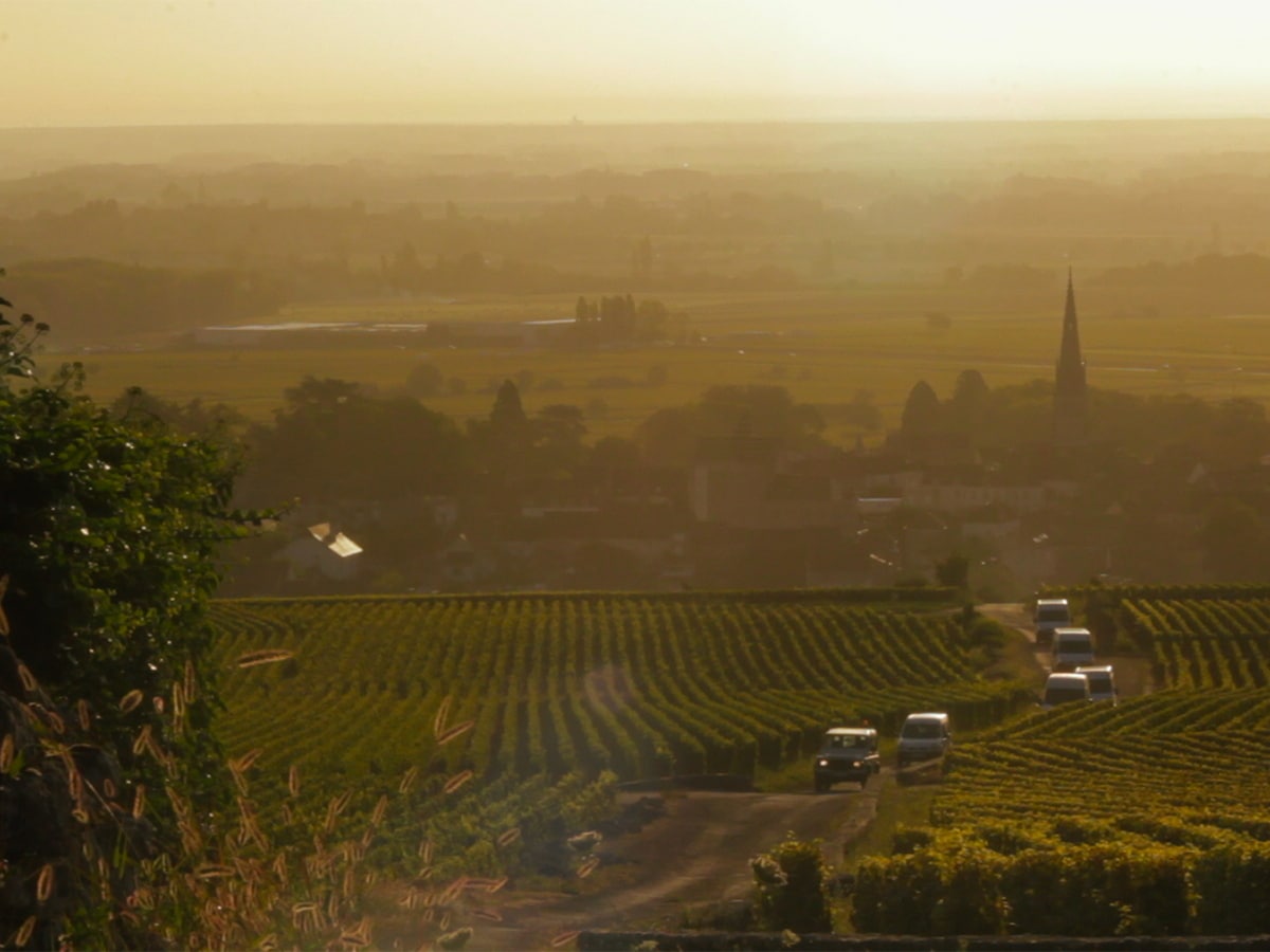 10-Movies-Every-Wine-Lover-Needs-to-See-A-Year-in-Burgundy-2013-