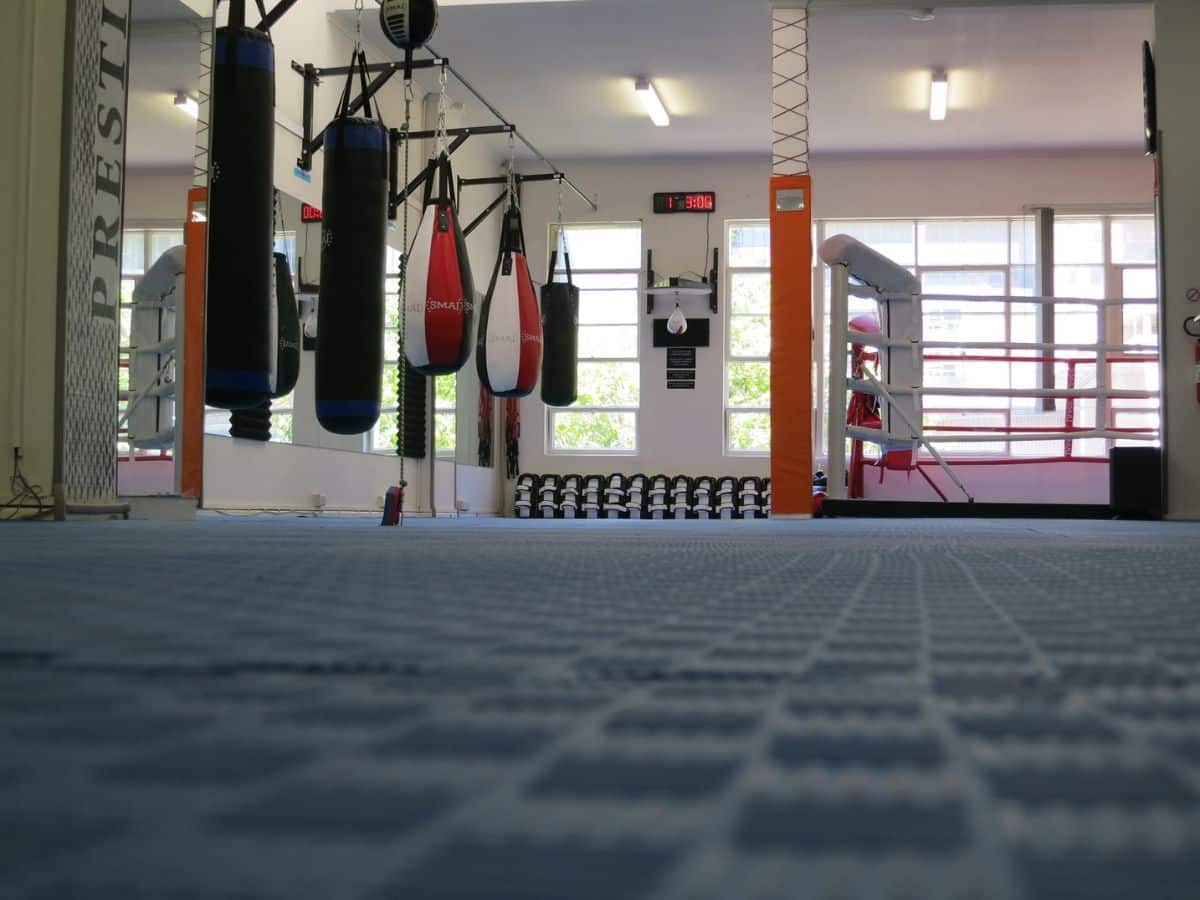 Low shot of punching bags at Prestige Gym CBD