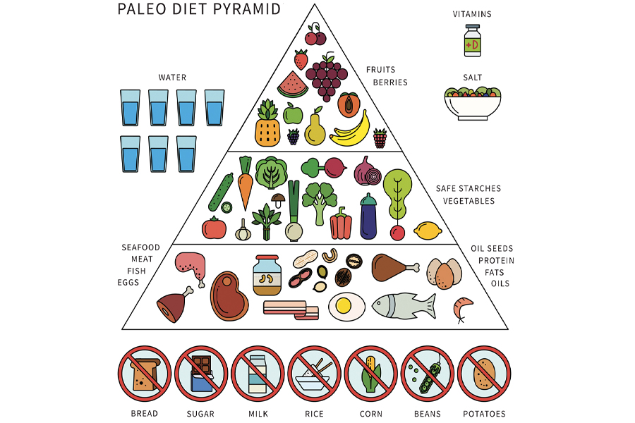 A Beginners Guide To The Paleo Diet Man Of Many 