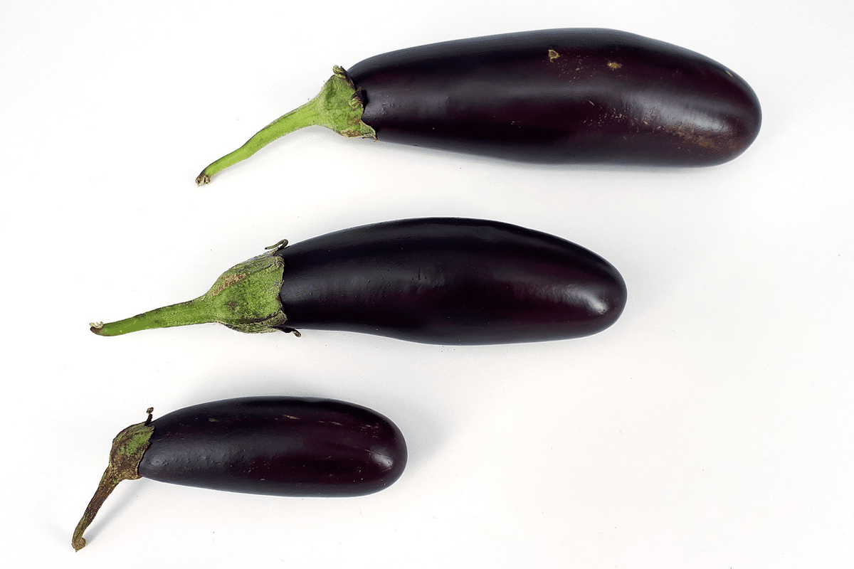 non-professional sexy wife eggplant in vagina