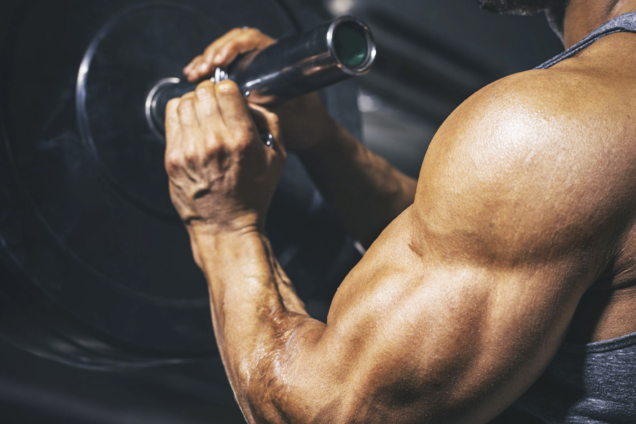 13 mejores ejercicios de bíceps para hombres