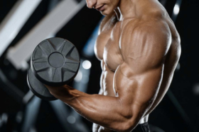 best bicep exercises