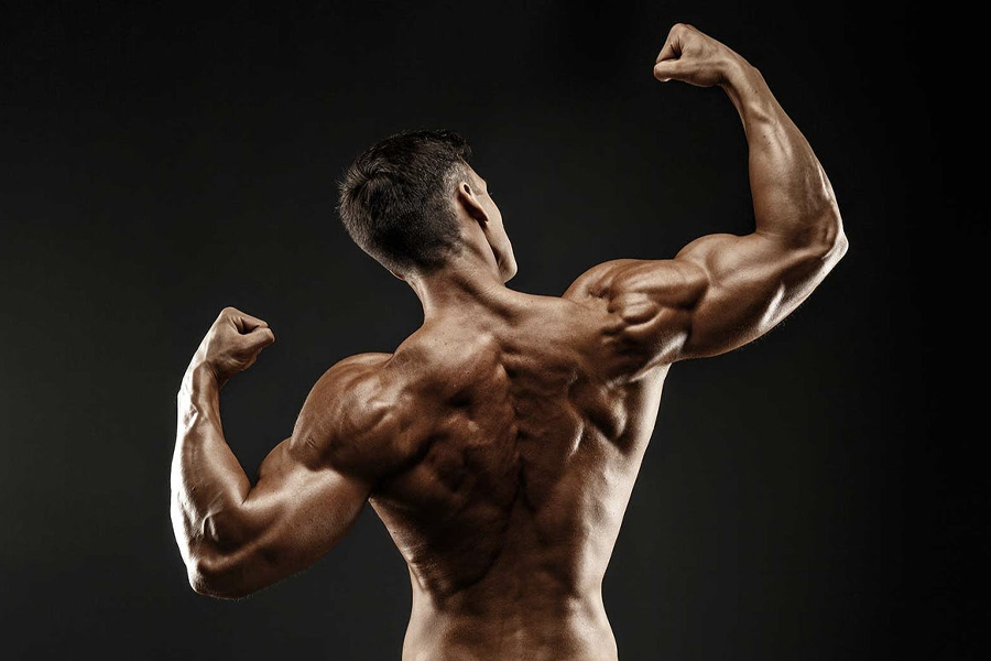 13 mejores ejercicios de bíceps 