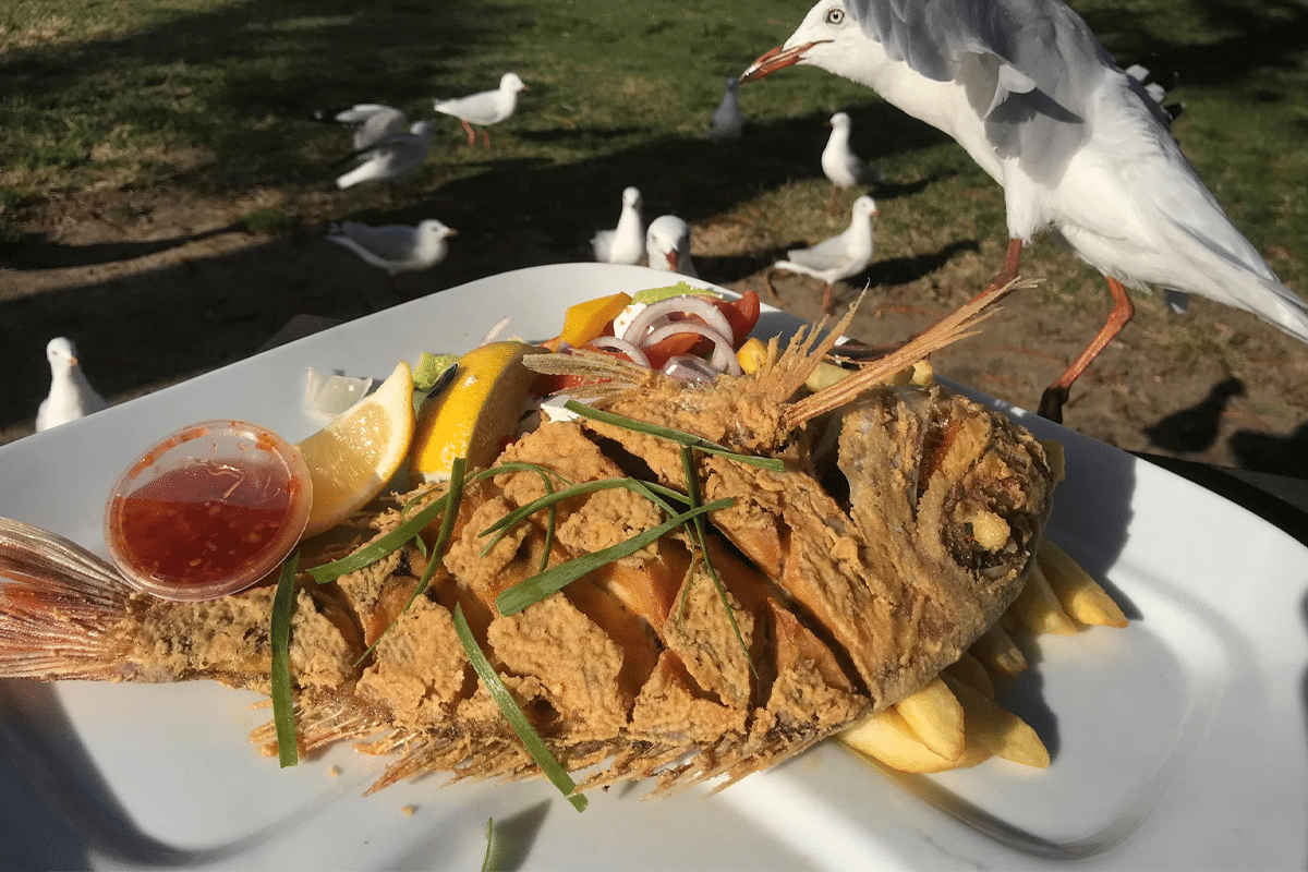 Seafood at the beach