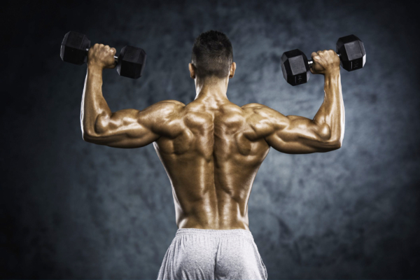 14 Best Dumbbell Workouts and Exercises For a Full-Body Workout