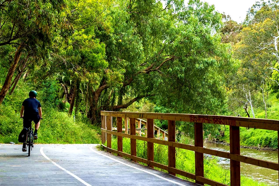 Walking Trail Templestowe - Main Yarra