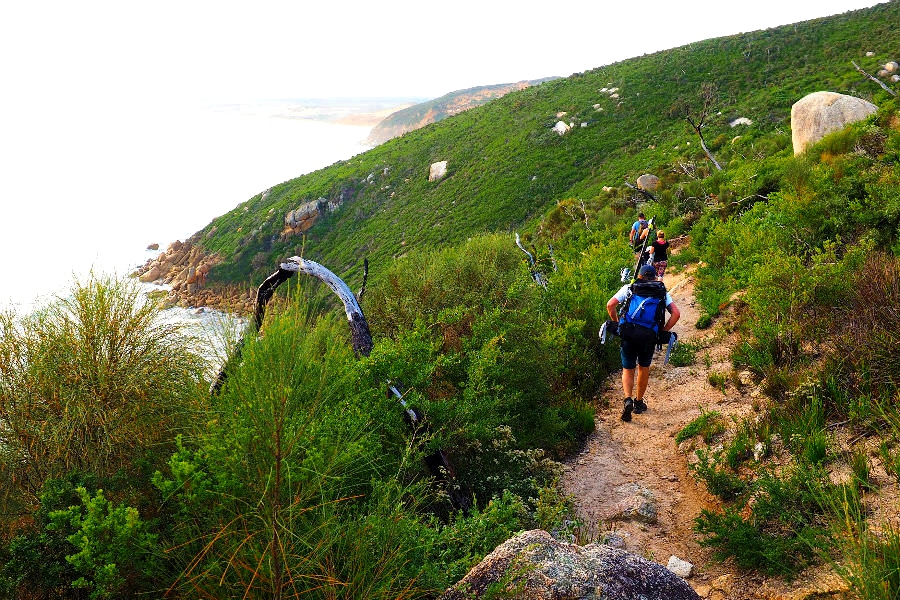 Walking Trail Wilsons Promontory - Tongue Point