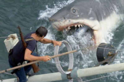 Comparing the World's Deadliest Animals by Deaths Per Year