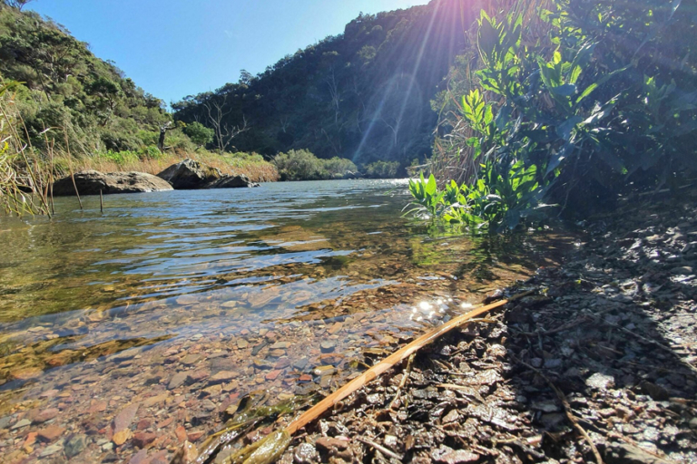 13 Best Walks Near Melbourne for Some Fresh Air Man of Many