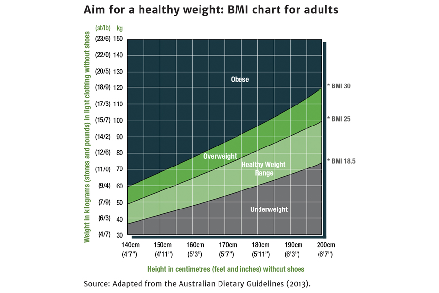 Adult BMI Calculator, Healthy Weight, Nutrition, and Physical Activity