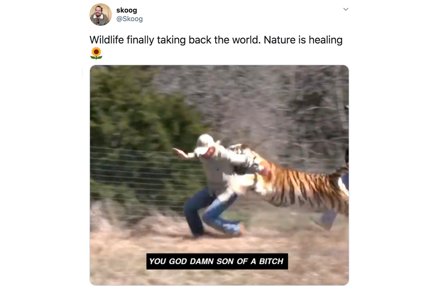Best Memes 2020 - Nature is healing