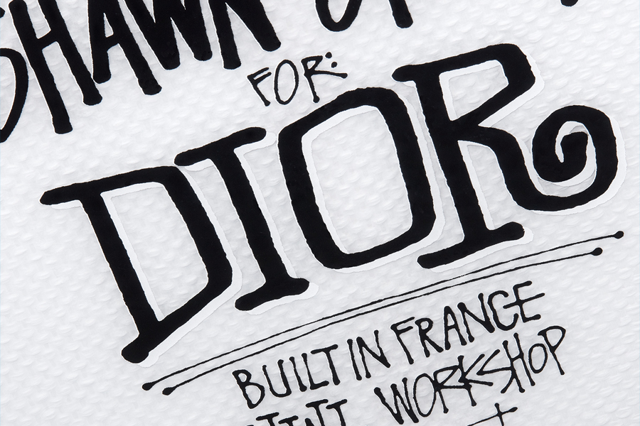 Dior x Shawn Stussy 8