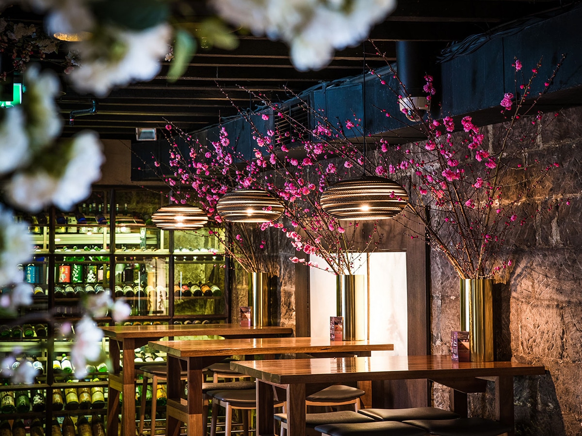 sake restaurant interior