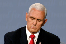 A fly in Mike Pence's hair